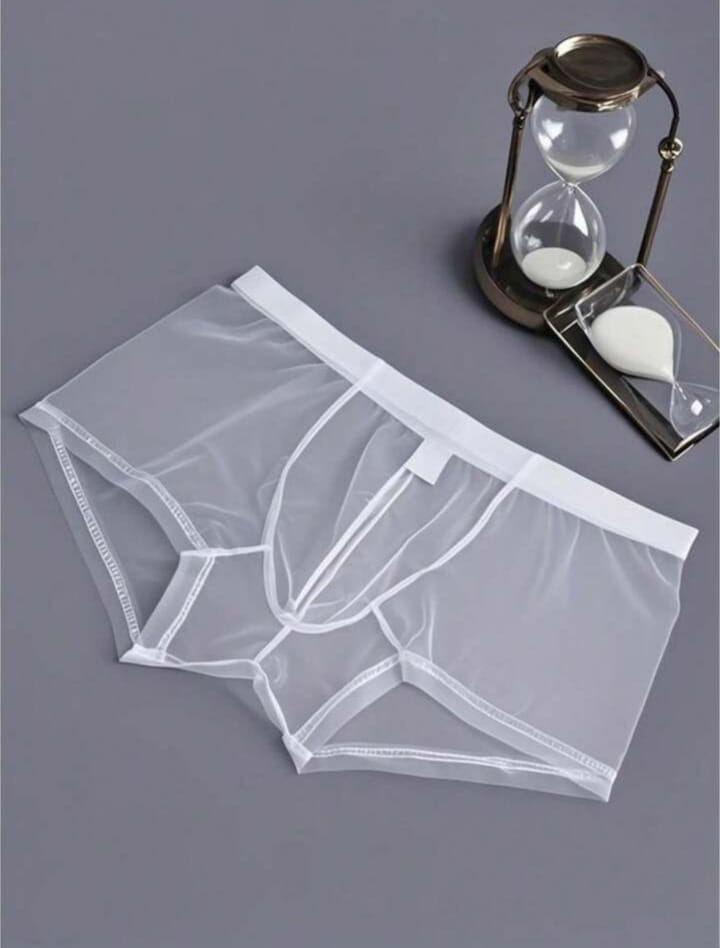 Frost Sheer Mesh Boxer Briefs